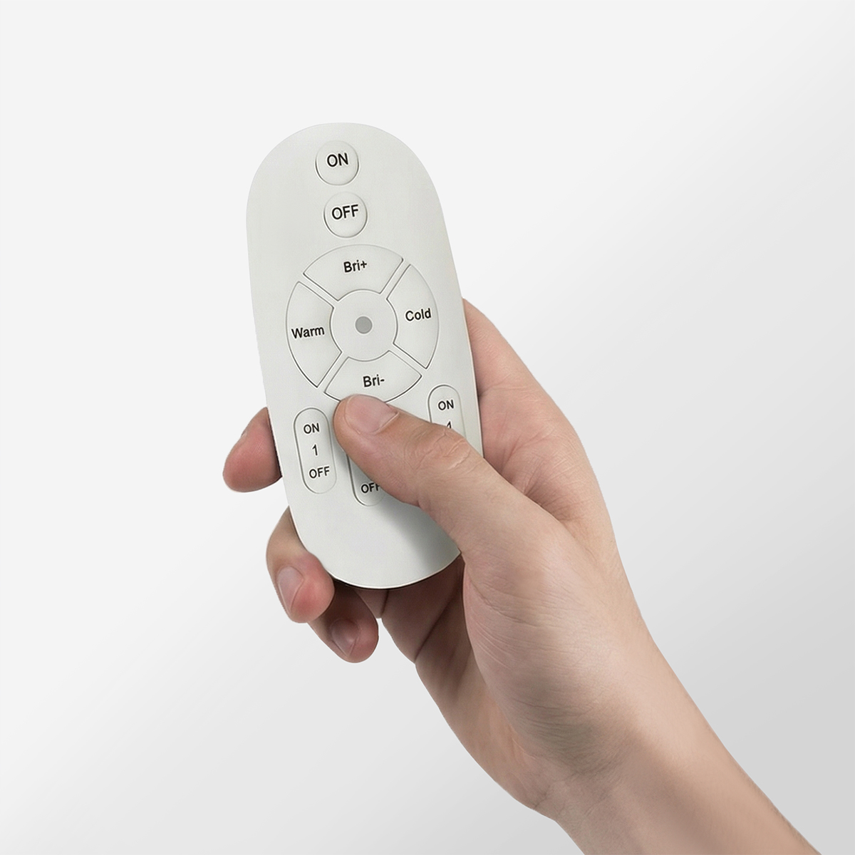 遙控系統示意圖